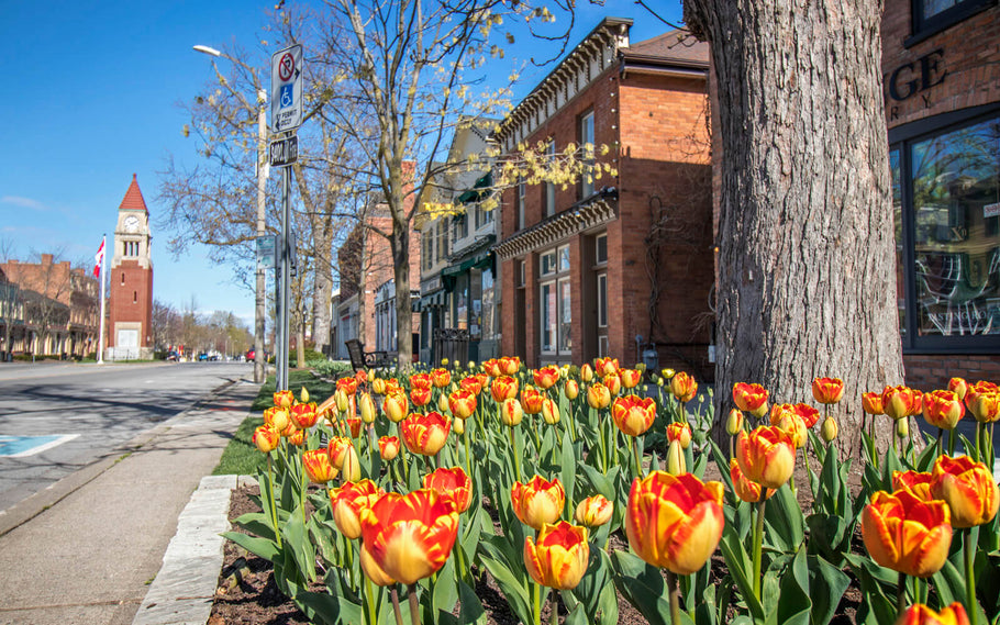 While Niagara Falls is the premier destination of the Niagara Region, Niagara-on-the-Lake is the perfect spot for some small-town charm in Ontario