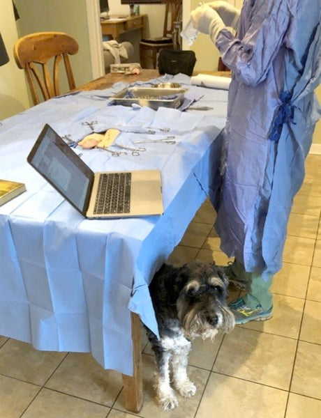 Marni Jameson: Home fills so many roles these days