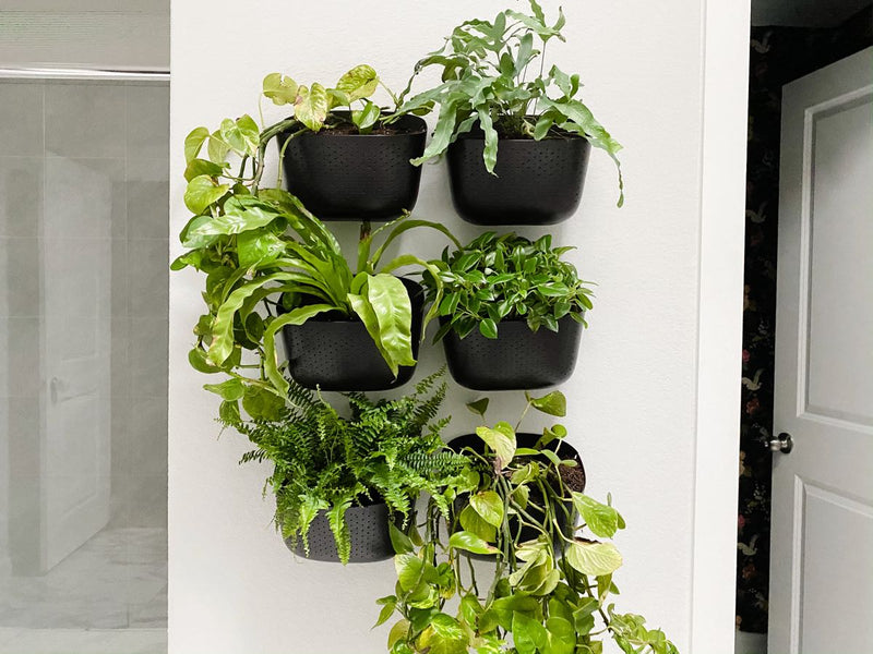 I’ve been wanting to add a plant wall somewhere in my house for ages, and I finally did one in my bathroom! I tried a new-to-me product so today I’m sharing my (completely unsolicited) WallyGro planter review to show a super easy way to create a...