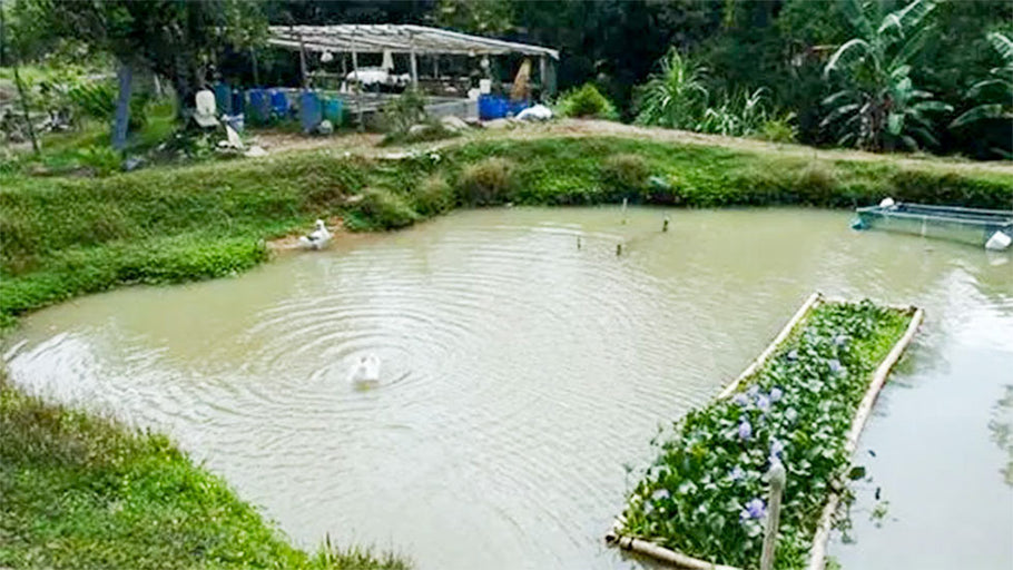 New Costa Rica Real Estate Service Exclusive Property Listing Riverfront Organic Fish Farm on 50 Acres near the Nauyaca Waterfall