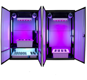 The LED Nova Trinity - XL Grow Box