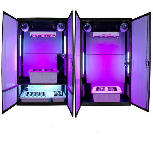 The LED Nova Trinity - XL Grow Box