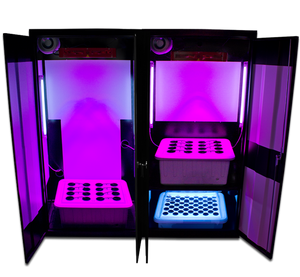 LED Trinity 3.0 – LED Grow Boxes